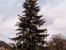 IMG_20241220_133358_259.jpg